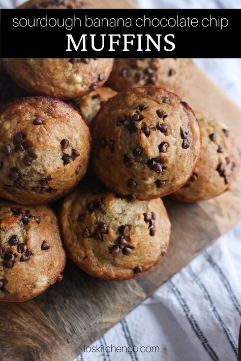 Sourdough Discard Banana Chocolate Chip Muffins, Sour Dough Discard Healthy Muffins, Sourdough Discard Banana Muffin Recipes, Sourdough Starter Banana Muffins, Chocolate Chip Muffins Sourdough, Sourdough Chocolate Chip Banana Bread, Banana Discard Muffins, Sourdough Banana Muffins Recipe, Protein Sourdough Muffins