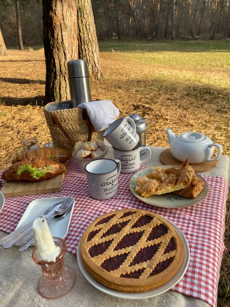 One day of November in the forest, autumn vibes and picnic time for making best mood🍂 Winter Picnic Aesthetic, March Vibes, Couple Dates, Forest Picnic, Autumn Picnic, Dates Ideas, Winter Picnic, End Of Winter, Dream Date