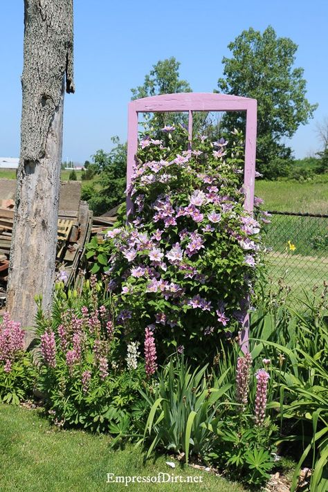 Ideas For Old Doors, Windows In The Garden, Painted Window Frames, Garden Themes, Unique Garden Art, Old Window Frame, Garden Art Ideas, Window Projects, Old Picture Frames