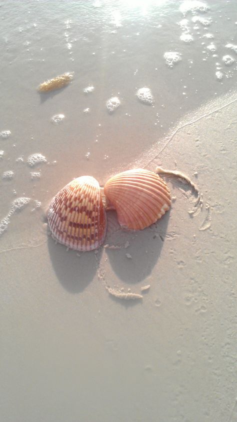 Do you plan on doing some Sanibel-Captiva shelling this weekend?  We'll meet you there at sunrise. www.tween-waters.com The Sand, At The Beach, The Beach