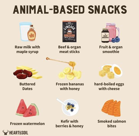 Animal Based Food List, Animal Based Smoothie, Animal Based Diet Snacks, Animal Based Lunch Ideas, Animal Based Diet Grocery List, Animal Based Diet Shopping List, Animal Diet, Wise Traditions, Animal Base