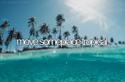 move someplace tropical #bucketlist Bucket List Tumblr, Bucket List For Girls, Lifetime Bucket List, Don't Worry Be Happy, Ultimate Bucket List, Future Plans, Be Happy, Don't Worry, Places To See