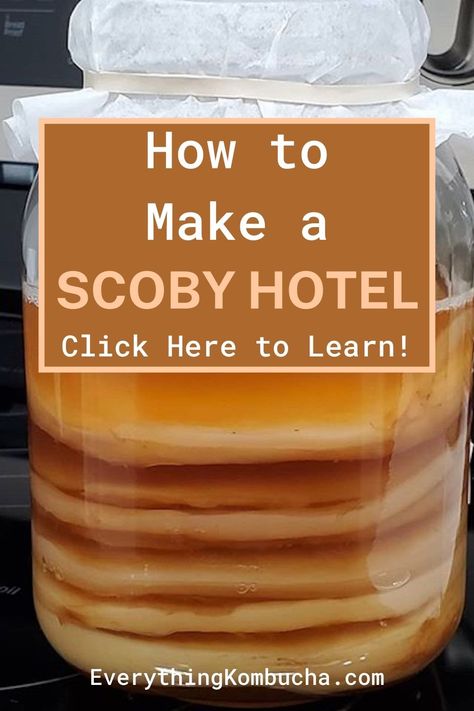 Kombucha Scoby Hotel, How To Make Kombucha With A Scoby, Kombucha Recipe Scoby, How To Make Kombucha Scoby, How To Make A Scoby For Kombucha, Flavored Kombucha Recipe, Kombucha Diy, Scoby Kombucha, Kombucha Flavors Recipes