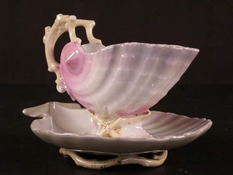 antique sea shell cup Seashell Ceramics, Tea Cup Aesthetic, Sea Furniture, Shell Furniture, Ceramic Seashell, Mermaid Cup, Antique Objects, Pretty Tea Cups, Antique Tea Cups