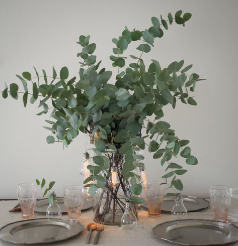 How To Build Your Own Eucalyptus Centrepiece - The Social Kitchen Cheap Wedding Table Centerpieces, Social Kitchen, Eucalyptus Centerpiece, Plant Centerpieces, Tafel Decor, Eucalyptus Wedding, Deco Floral, Wedding Table Centerpieces, Flower Centerpieces