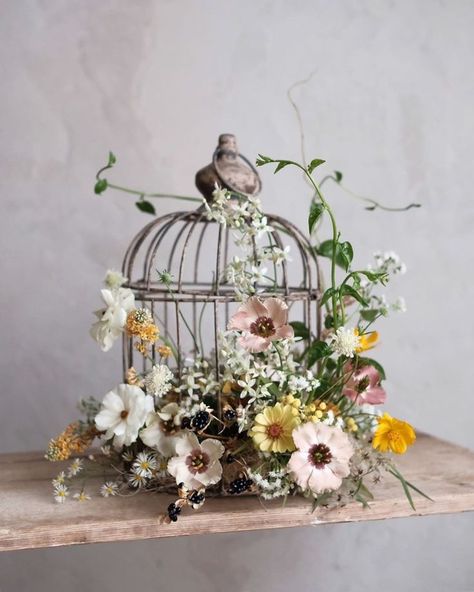 Birdcage Planter, Cage Table, Bird Cage Centerpiece, Wedding Birdcage, Bird Cage Decor, Vintage Bird Cage, Display Table, Flower Studio, Ceremony Flowers