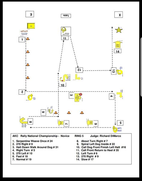 Dog Rally Courses, Rally Obedience, Dog Sports, Dog Fun, Dog Games, Sporting Dogs, Dog Training Obedience, National Championship, Puppy Training