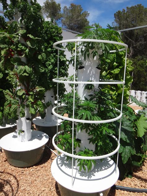 Grow Tower Garden, Diy Hydroponic Tower Garden, Indoor Cannibas Growing, Cannibus Growing, Aeroponic Tower Garden, Grow Tower, Plant Tower, Aeroponic System, Design Garden Ideas