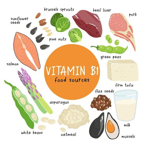 Collection of vitamin b1 sources food co... | Premium Vector #Freepik #vector #antioxidant #vitamin-icon #vitamins-minerals #nutrition-icon Salmon Asparagus, Tuna Avocado, Pork N Beans, Salmon And Asparagus, Vitamin B1, Flax Seeds, Beef Liver, Food Source, Brussels Sprouts