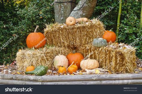 Haybale Fall Decor, Fall Hay Bale Decor, Fall Displays Outdoor, Hay Bales And Pumpkins, Hay Bale Fall Decor, Hay Bale Decor, Bail Of Hay, Hay Bale Decorations, Hay Decor