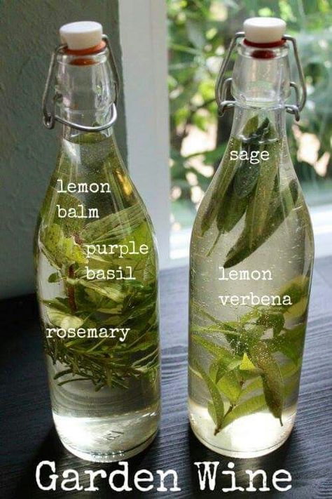 Purple Basil, Garden Sage, Garden Herbs, Witch Stuff, Homemade Wine, Makanan Diet, Lemon Verbena, Beltane, Lavender Roses