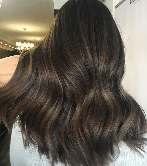 Brazilian Brown Hair Color, Chocolate Brown Lowlights Brunettes, Milk Brown Highlights, Milk Chocolate Brunette Hair, Balayage Hair With Lowlights, Dark Brown Golden Hair, Chocolate Brown With Dimension, Milk Chocolate Brunette, Milk Chocolate Balayage