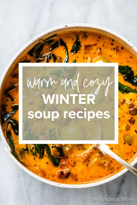 Winter Chicken Soup, Winter Soups Recipes, Hearty Soup Recipes Winter, Winter Soup Recipes Healthy, Best Winter Soups, Hearty Vegetarian Soup, Best Chicken Tortilla Soup, Winter Soup Recipes, Tomato Lentil Soup