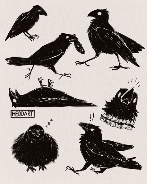 Silly corvid time 🐦‍⬛ ✨ #corvid #raven #crow #corvidart #sketchbook #procreate #birdart #sillybirds Crow Holding Something, Crow Reference Drawing, Folk Art Crow, How To Draw Crow, Crow Drawing Reference, Crow Art Dark, Crows Cute, Crow Drawing Sketch, Raven Character Design