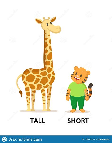 Short Cartoon Characters, Jungle Animal Flashcards Printable Free, Classroom Walls Paint, Adjectives For Kids, Zoo Animals Flashcards, Opposites Preschool, Coloring Worksheets For Kindergarten, Apple Template, Tall And Short