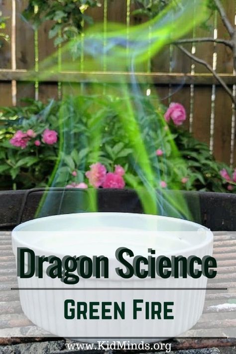 Cool Simple Science Experiments, Best Science Experiments For Kids, Fire Experiments For Kids, Dragon Activities For Kids, Fun Science Fair Projects, Fire Experiment, Fun Science Experiments For Kids, Vetenskapliga Experiment, Homeschool Science Experiments