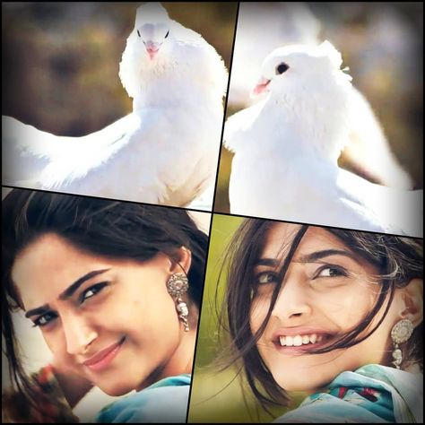 GODHAND on Instagram: “Delhi 6 @sonamkapoor” Delhi 6 Sonam Kapoor Outfits, Sonam Kapoor Outfits, Delhi 6, Sonam Kapoor, Animals, On Instagram, Quick Saves, Instagram