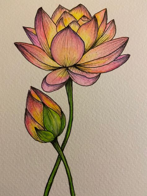 Flower Sketching Pencil, Indian Flower Drawing, Drawing Ideas Colour Pencil Beginner, Lotus Sketch Drawing, Lotus Flower Art Design, Painting With Pencil Colour, Aesthetic Pencil Drawings, Easy Color Pencil Drawing, Flower Drawing Color Pencil