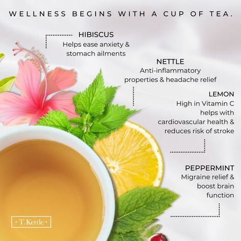 Serenit-tea is a cup away with T. Kettle loose leaf wellness tea. Enjoy therapeutic benefits from hibiscus, nettle, lemon, peppermint and more. Nettle Leaf Tea Benefits, Nettle Tea Benefits, Peppermint Benefits, Tea For Health, Nettle Leaf Tea, Nettle Tea, Tea Blends Recipes, Wellness Tea, Nettle Leaf