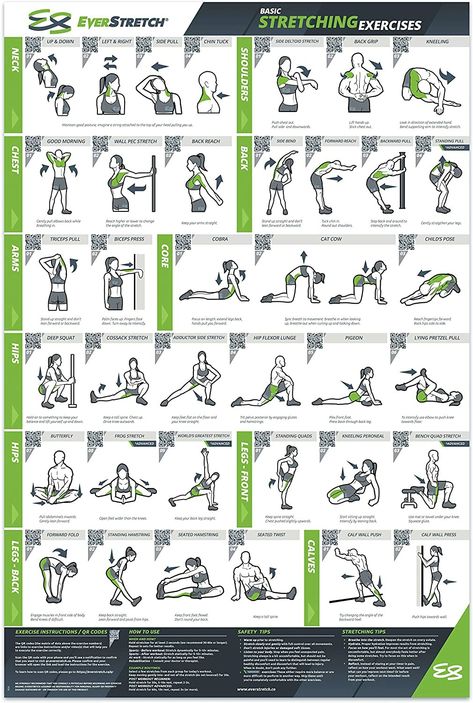 Stretching Workouts Flexibility, Back Stretches Post Workout, Best Stretching Routine, Let Stretches, Back Stretches Pre Workout, Pilates Workout Poster, Stretching Exercises For Men Flexibility, Post Workout Stretching, Stretching Exercises Post Workout