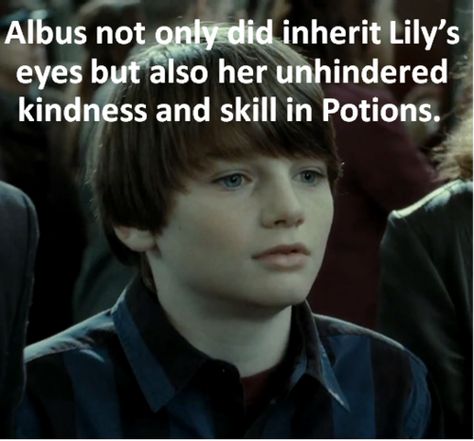 Albus inheritance Albus Severus Potter, Albus Severus, Harry Potter Next Generation, Always Harry Potter, Draco And Hermione, Harry Potter Pin, Draco Harry Potter, Harry Potter Fanfiction, Harry Potter Pictures