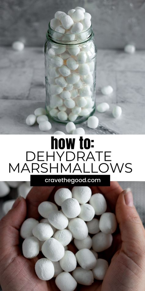 Stuff To Dehydrate, Best Dehydrated Snacks, Air Dry Recipes, Nutrichef Dehydrator Recipes, Things To Dehydrate In Air Fryer, Dehydrated Christmas Gifts, Foods You Can Dehydrate, Fun Things To Dehydrate, How To Make Dehydrated Marshmallows