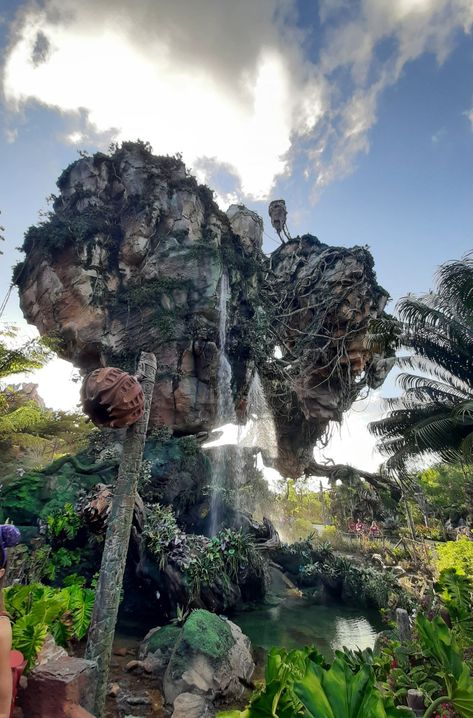 Pandora Disney World, Animal Kingdom Aesthetic, Animal Kingdom Pandora, Pandora World, Disney World Animal Kingdom, Animal Kingdom Orlando, Avatar Animals, Disney Animal Kingdom, Disney Photo Ideas