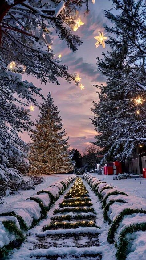 Winter Wonderland Wallpaper, Christmas Lockscreen, Fall Pics, Soft Sweaters, Winter Landscapes, A Walk In The Woods, Christmas Dreaming, Going For A Walk, Christmas Phone Wallpaper