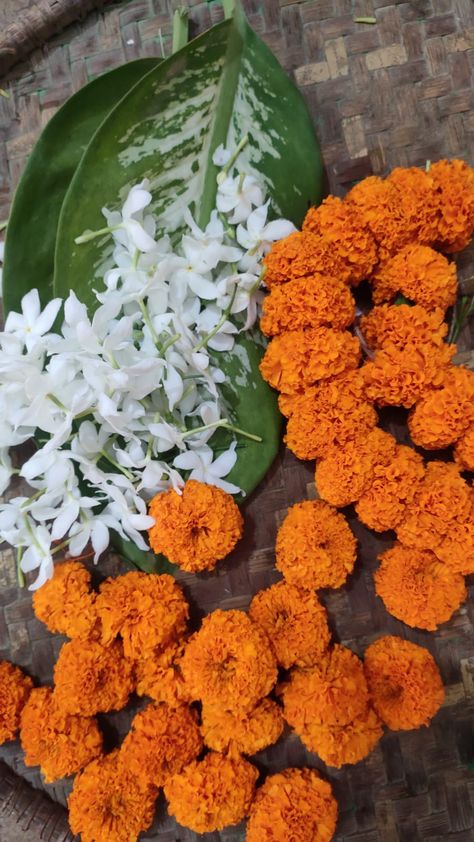 Desi Orange Aesthetic, Moodboard Elements, Marigold Aesthetic, Temple Aesthetic, Genda Phool, Colours Aesthetic, India Aesthetic, Ace Logo, Flower Reference