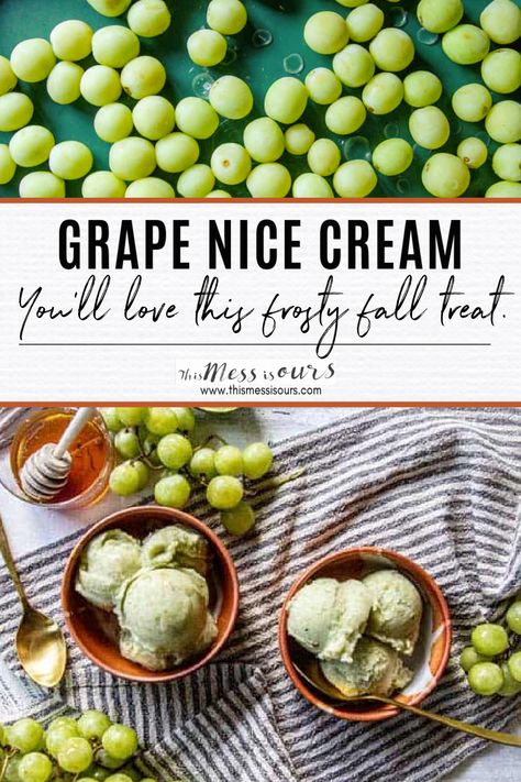 The Nice Cream craze has blown up in recent years, and for good reason. It's a delicious, plant-based, way to get your ice cream fix while still eating healthy. This Grape Nice Cream is one of our favorite recipes for grapes because it only requires 4 basic ingredients and is only 40 calories per serving! No tricks here...just a frost fall treat. #thismessisours @cagrown @grapesfromca #nicecream Grape Ice Cream Recipe, Green Grape Recipes Ideas, Green Grape Recipes, Green Grapes Recipes, Grape Compote, Grape Dessert, Grape Ice Cream, Rotisserie Chicken Salad, Nice Cream Recipe