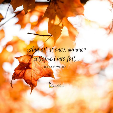 20 Beautiful Autumn Quotes That Will Make You Fall In Love With Fall All Over Again Autumn Days Quotes, All At Once Summer Collapsed Into Fall, And All At Once Summer Collapsed, First Day Of Autumn Quotes, Fall Season Quotes, Lightworker Quotes, September Vibes, Summer Collapsed Into Fall, Fall Porches