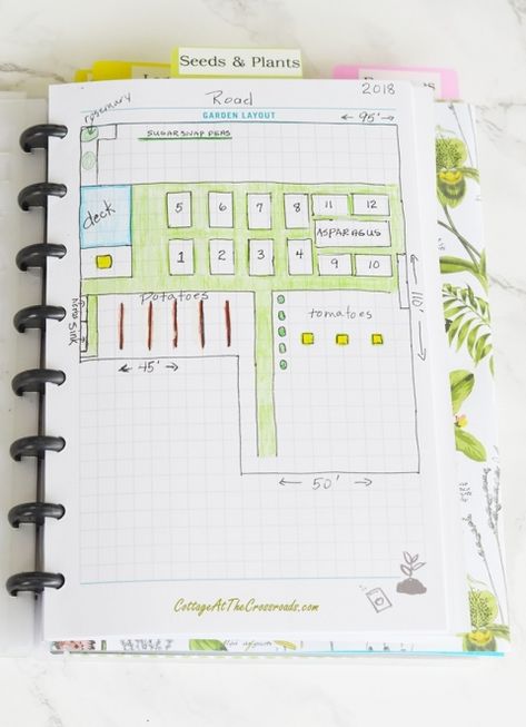 sketch of the vegetable garden at Cottage at the Crossroads Garden Journals, Rosemary Garden, Vegetable Garden Planner, Winter Vegetables Gardening, Backyard Garden Layout, Starting A Vegetable Garden, Fall Garden Vegetables, Organic Vegetable Garden, Garden Planner