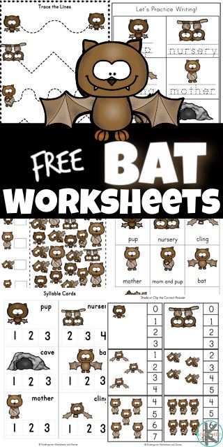 Bats Prek Activities, Nocturnal Animals Math Activities Preschool, Bat Literacy Activities Preschool, Bat And Spider Theme Preschool, Free Nocturnal Animals Preschool, Bats And Spiders Kindergarten, Free Bat Printables Preschool, Bat Facts Preschool, Bats For Preschool