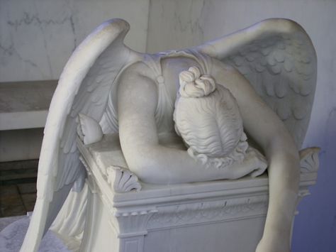 What my guardian angel must look like at times... - Imgur . . . not often for me but enough! My Guardian Angel, Guardian Angels, Picture Day, E Card, Guardian Angel, An Angel, Bones Funny, The Words, Really Funny