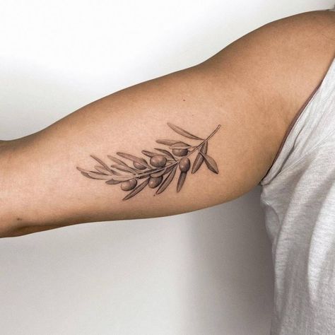 Olive Leaves Tattoo, Branch Tattoo Arm Wrap, Branch Tattoo Arm, Olive Branch Tattoo Arm Wrap, Tattoo Arm Wrap, Tattoo Around Arm, Arm Wrap Tattoo, Olive Branch Tattoo, Leaves Tattoo