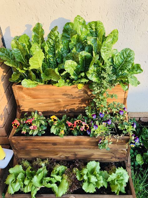 Balcony Garden Stand, Balcony Small Garden, Plants In Small Balcony, Balcony Growing Vegetables, Garden Box On Deck, Home Garden Apartment, Small Balcony Ideas Garden, Best Flowers For Containers, Garden Inspo Small