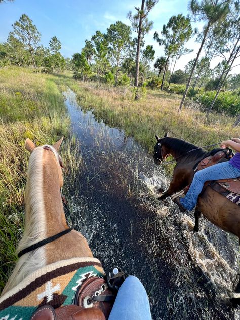 Trail Ride Aesthetic, Trail Riding Aesthetic, Riding Horse Aesthetic, Horses Training, Horse Travel, Trail Riding Horses, Horse Trails, Cowgirl Era, Horseback Riding Trails