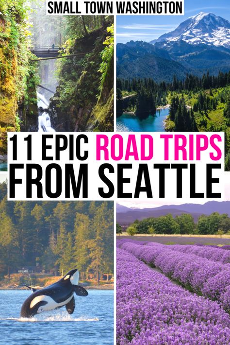 Looking for the best road trips from Seattle? Here are the best short road trips from Seattle and best weekend getaways from Seattle. Seattle road trips | Washington road trips | Pacific Northwest road trips from Seattle | Seattle day trips | Seattle to Portland | Seattle Pacific Coast Highway | Seattle weekend trips | Romantic getaways Seattle | Weekend getaways near Seattle | Washington road trip ideas | Washington weekend getaways | Washington State getaways | places to go from Seattle Seattle Oregon Road Trip, Week In Seattle, Must See Seattle, Seattle National Park Road Trip, Washington State Vacation Ideas, Seattle Off The Beaten Path, Pnw Weekend Getaways, Seattle Ferry Trips, Portland To Vancouver Road Trip