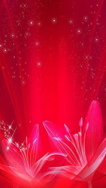 Beauty And The Best Background, Red Flower Background Design, Cute Wallpapers For Phone Beautiful Wallpaper Backgrounds, Red Colour Background, Red Background Wallpapers, Cute Wallpaper Backgrounds Phone Wallpapers, Red Flowers Background, Red Flower Background, Red Background Design