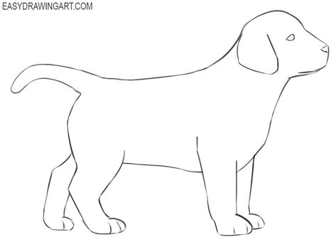 How to Draw a Puppy | Easy Drawing Art Dog Drawing Side View, Puppy Easy Drawing, Small Dog Drawing, Dog Easy Drawing, Fortnite Drawings, Draw Dogs, Dog Drawing Simple, Sheep Drawing, Med Vet