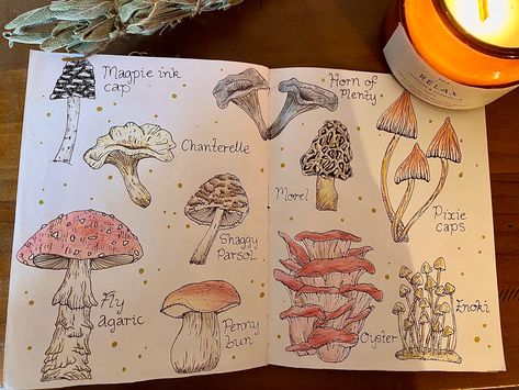 Cute mushroom drawings for a page in a junk journal, scrapbook, bullet journal, or just for fun. Fantasy Journal Pages, Mushroom Bullet Journal, Ellie Aesthetic, High School Journal, Nature Crafting, Mushroom Drawings, Mushroom Journal, Fantasy Journal, Fairy Journal