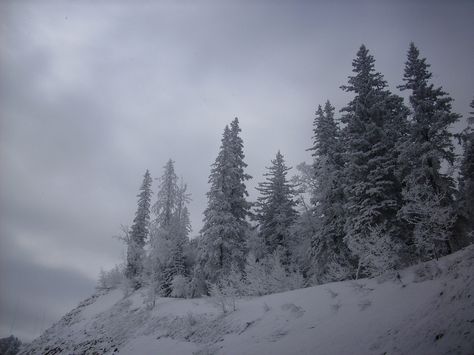 https://flic.kr/p/98S2xi | Snowy White Spruce | Snow scene outside of Lead, South Dakota, west of Black Hills area. Snowy Hills, Snow Hill, White Spruce, Winter Beauty, Snow Scenes, Black Hills, South Dakota, The Outsiders, Natural Landmarks