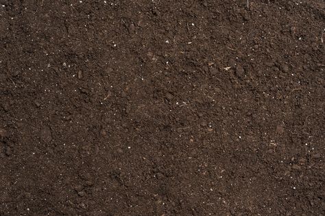 This Is What the Color of Your Garden Soil Means Group Description, Bigleaf Hydrangea, Soil Texture, Garden Bugs, Organic Mulch, Good To Great, Top Soil, Number 7, Plant Pictures