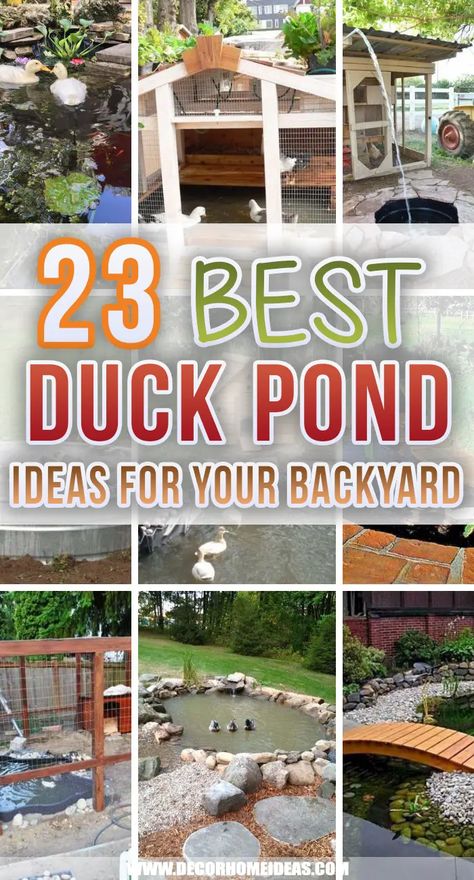 23 Best Backyard Duck Pond Ideas and Designs Small Backyard Duck Ponds, Backyard Duck Enclosure, Raised Duck Pond, Geese Pond Ideas, Diy Small Duck Pond, Duck Pond Water For Garden, Building A Fish Pond, Best Ducks For Pets, Duck Cage Ideas Outdoor