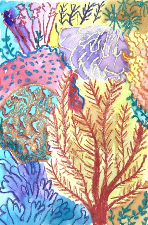 Coral Reef School Project, Coral Reef Art Project, Coral Reef Projects For Kids, Coral Reef Art For Kids, Ocean Art Kids, Great Barrier Reef Crafts For Kids, Ocean Collage Art, Under The Sea Art Projects, Ocean Art Projects For Kids