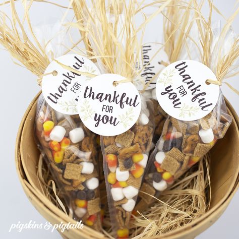 Thanksgiving Goodie Bag, Fall Teacher Gifts, Thanksgiving Gifts Diy, Volunteer Appreciation Gifts, Thanksgiving Party Favors, Thanksgiving Favors, Friendsgiving Party, Volunteer Gifts, Thankful For You