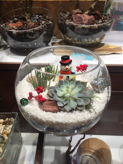 Holiday Succulent Gifts, Holiday Succulent Ideas, Christmas Succulents Gift, Christmas Fish Bowl Ideas, Christmas Terrariums Winter Scenes, Fish Bowl Christmas Ideas, Christmas Succulent Ideas, Winter Terrarium, Christmas Succulents