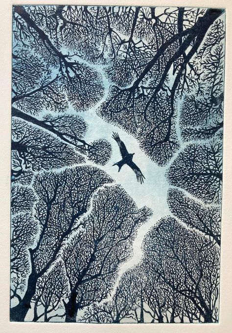 Janis Goodman, etching Forest Ecosystem Drawing, Bird Drawing Aesthetic, Janis Goodman, Linocut Landscape, Tree Illustration Art, Woodcut Design, Etching Illustration, Etching Printmaking, Etching Art