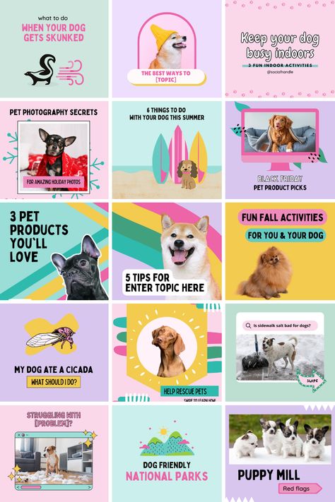 Dog Posts Instagram, Dog Post Instagram, Dog Instagram Post Ideas, Dog Business Ideas, Carousel Template, Pet Instagram, Dog Template, Dog Marketing, Pet Branding