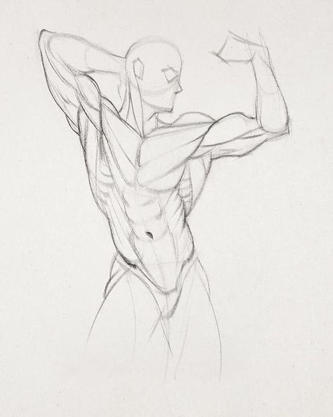 Body Male, Man Anatomy, Drawing Tutorial Face, Human Anatomy Drawing, Human Figure Drawing, Human Anatomy Art, Anatomy Sketches, Body Reference Drawing, Figure Sketching